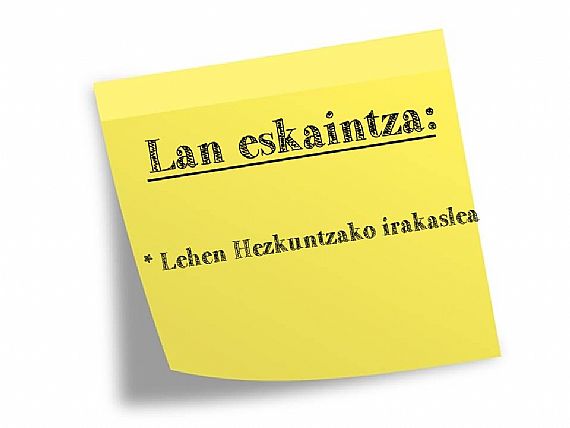 LEHEN HEZKUNTZARAKO IRAKASLEA